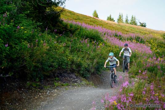 Mountainbiken in Schladming-Dachstein Mountainbiken in Schladming-Dachstein
